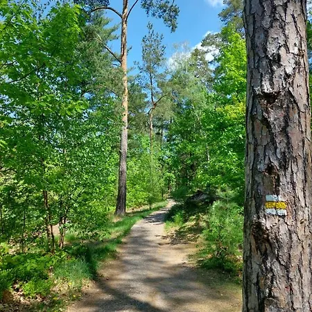 Eliska